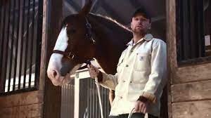 2015 Budweiser Super Bowl Xlix Commercial Lost Dog Puppy Bestbuds Tv Ad Spot Youtube