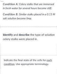 Check spelling or type a new query. Condition A Celery Stalks That Are Immersed In Fresh Chegg Com