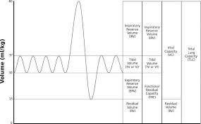 Spirometry Litfl Ccc
