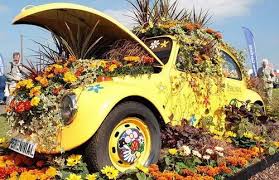 Ja Deu Gargalhada Hoje Diferentes Fuscas Personalizados Volkswagen Beetle Beetle Car Vw Beetles