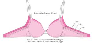 Is there a difference between f and ddd cups? Bra Sister Sizes The Bra Fitting Secret You Need To Know Upbra