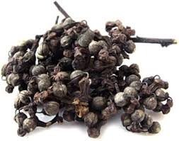 Image result for Hovenia