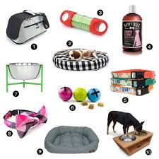Modern Dog Accessories From Petfancy Dog Milk Dog Milk Puppy Accessories Dog Supplies