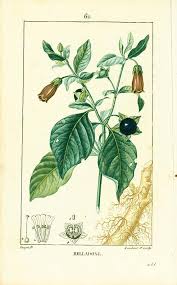 pin on weird wallpaper wall art ideas