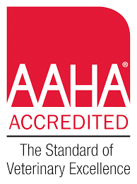Check spelling or type a new query. Quality Veterinary Care In Woodbridge