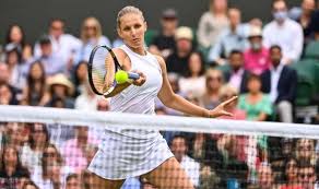 She has been playing tennis since she was very young at the age. Karolina Pliskova Husband Meet Wimbledon Finalist S Partner Michal Hrdlicka Tennis Sport Express Co Uk