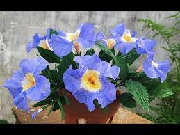 Abc Tv How To Make Petunias Paper Flower From Crepe Paper Craft Tutorial Youtube Paper Flowers Paper Flower Video Crepe Paper Flowers Tutorial