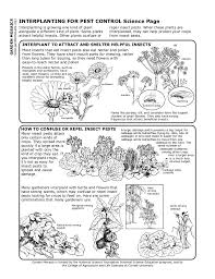 See more ideas about garden pests, pest control, pests. Interplanting For Pest Control Cornell University