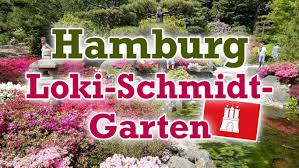 Verreisen ist eine schöne aber zeitintensive sache. Loki Schmidt Garten Geheimtipp In Hamburg Max Six Reiseblog
