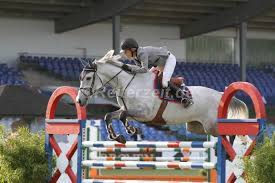 Maybe you would like to learn more about one of these? Malin Baryard Johnsson Reiterzeit