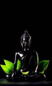 This collection presents the theme of buddha wallpaper 1920×1080. Hd Wallpaper Thailand Vietnam Religion Plant Æ°hite Lotus Statue Buddha Wallpaper Flare