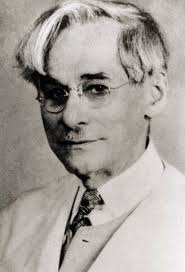 Contributions to DNA timeline