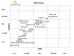 2017 custom options