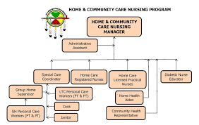 42 logical home health care chart