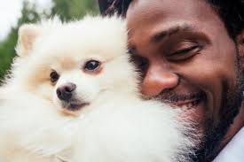 What is Fear Free Veterinary Care?