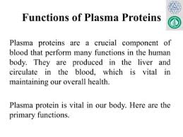 What Are The Primary Proteins Found In Blood Plasma? - Quora