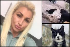 UK Animal Cruelty Files