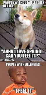 Saw Something Funny On Facebook Last Night For The First Time Before I Found It Here Funny Pictures Funny Animals Funny