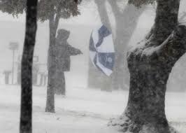 Image result for Blizzard 2009 GX