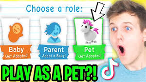 Get ready to be amazed! Adopt Me Hacks 2021 That Actually Work How To Redeem The Working Twitter Codes In The Game