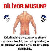 Sirt Ve Kanat Kasi Nasil Gelisir Vucut Gelistirme Fitness Egzersizleri Fitness