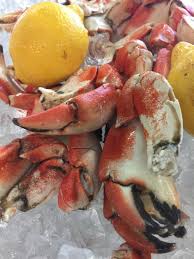We did not find results for: Try The Stone Crab Claws Steamed In With Your Order Picture Of Mudbugs Cajun Seafood At The Loop Mobile Tripadvisor