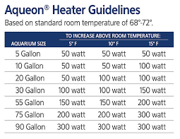 Fish Tank Heater Tips For Cold Weather