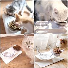 How to build a diy dog dish stand. Clear Plastic Elevated Cat Bowls With Raised Stand Pet Food Water Feeder Bowl 15 Tilted Pet Bowl Stress Free Food Dish Suit For Cats Small Dogs Walmart Com Walmart Com