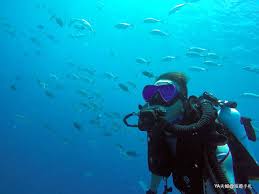 In palau's blue corner 帛琉潜水 rated: å¸›ç‰æ·±æ½›å¿…çœ‹ Diving In Palau æ½›æ°´åº—å®¶ä»‹ç´¹ç¯‡ Yaå¤«å©¦ æ—…éŠæ‰‹æœ­