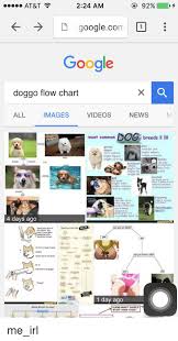 224 am 92 at t d googlecom google doggo flow chart all