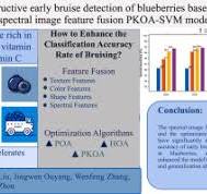 Non-destructive early bruise detection of blueberries based ...