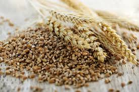 What are Prebiotics and What Foods Contain Them? - Unlock Food