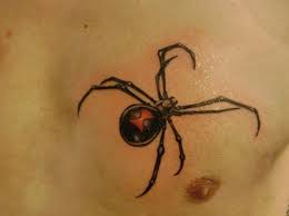 The creature is associated with attributes of a ruthless and relentless a tattoo with black widow design is bound to have a terrific impact on whoever sees it. 10 Best Black Widow Tattoos Ideas List Bark