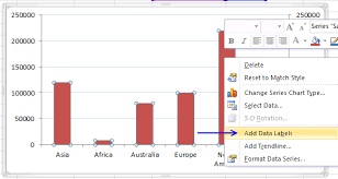 custom data labels in a chart