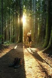 Young Woman In The Forest Woman In The Woods Woods Forest Woman Photo Nature Forest