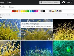 We want to search for images with a creative commons (cc) note: Flickr Now Lets You Search For Images Based On Visual Similarity The Verge