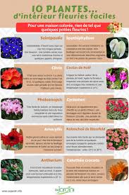 Voici donc quelques conseils d'entretien des plantes grasses et succulentes. 10 Plantes D Interieur Fleuries Faciles