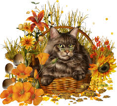 Gif animé chat - photos leblog de Marie-Martine