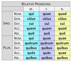 qui quae quod diagram quizlet