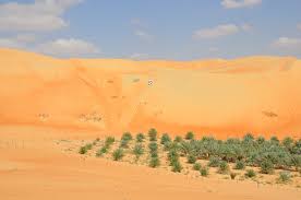 (demo) (2020) oasis — wonderwall ((what's the story) morning glory? Best Liwa Oasis Desert Safari Abu Dhabi Tour Packages Uae 2020