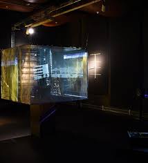 Alejandro Duque. Rarae aves