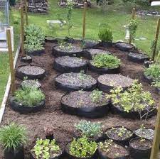 Gardening Ideas Smart Pot Gallery Indoor Vegetable Gardening Easy Landscaping Veggie Garden