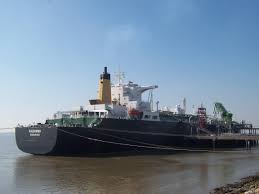 Image result for Galeomma