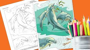 Apes are primates that come in all shapes and sizes. Coloring Book Animals A To I