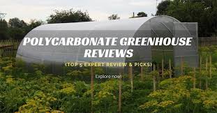 Check spelling or type a new query. The Greenhouse By Polycarbonate Wall Top 5 Must Buy In 2021 Expert Review Picks