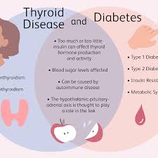 In this video, know about the symptoms of diabetes in hindi by dr. The Connection Between Thyroid Disease And Diabetes