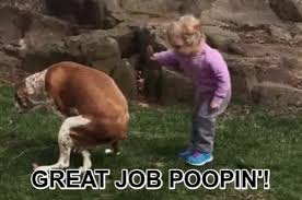 Memes are often meant to ridicule one thing or another lightly, but these cute memes will definitely make your day better and here's the reason why they make bad things good and good things better, which is why we're bringing you this pawsitively labradorable list of wholesome dog memes that are. Good Job Pooping Gifs Tenor