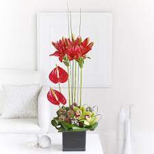 Decorate Your Home With The Red Warm Shades In These Anthuriums And Asiatic Lilies Christmas Flower Delivery Christmas Flowers Christmas Floral Arrangements