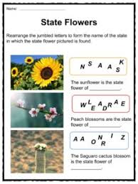 What does your family love most about exploring the great outdoors? Flower Facts Worksheets Types History For Kids