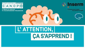 Fun L Attention Ca S Apprend Sciences Cognitives Enseignement Orientation Scolaire